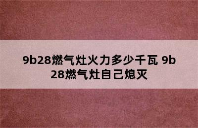 9b28燃气灶火力多少千瓦 9b28燃气灶自己熄灭